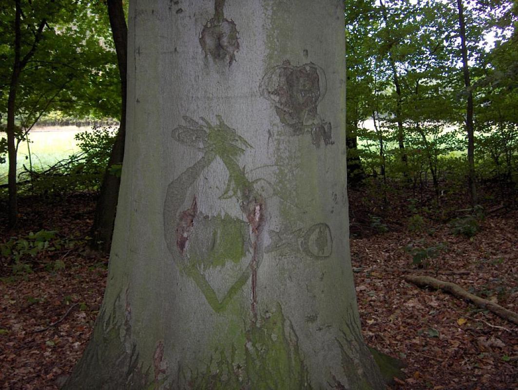 Belower Wald, 2007, Bäume im Belower Wald - Schnitzereien von KZ-Häftlinge aus dem April 1945, Stiftung Brandenburg. Gedenkstätten