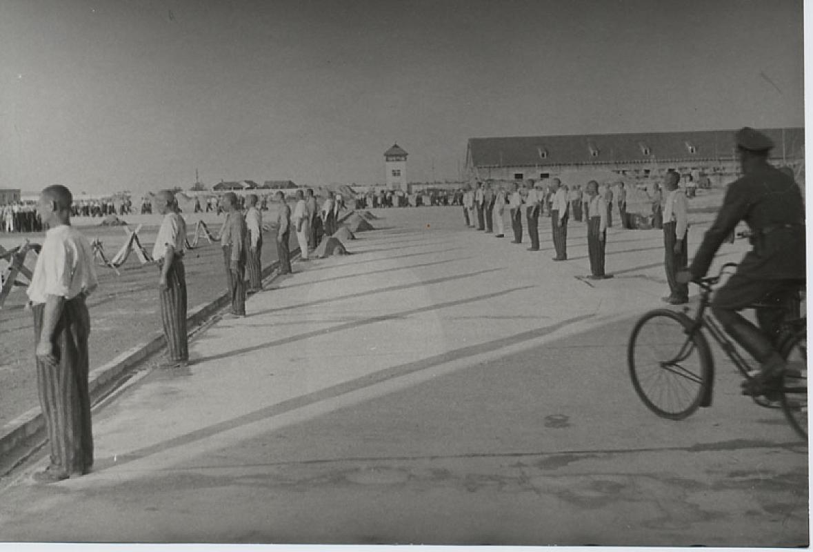 Dachau, 1938, Gefangenenappell. Bundesarchiv Berlin