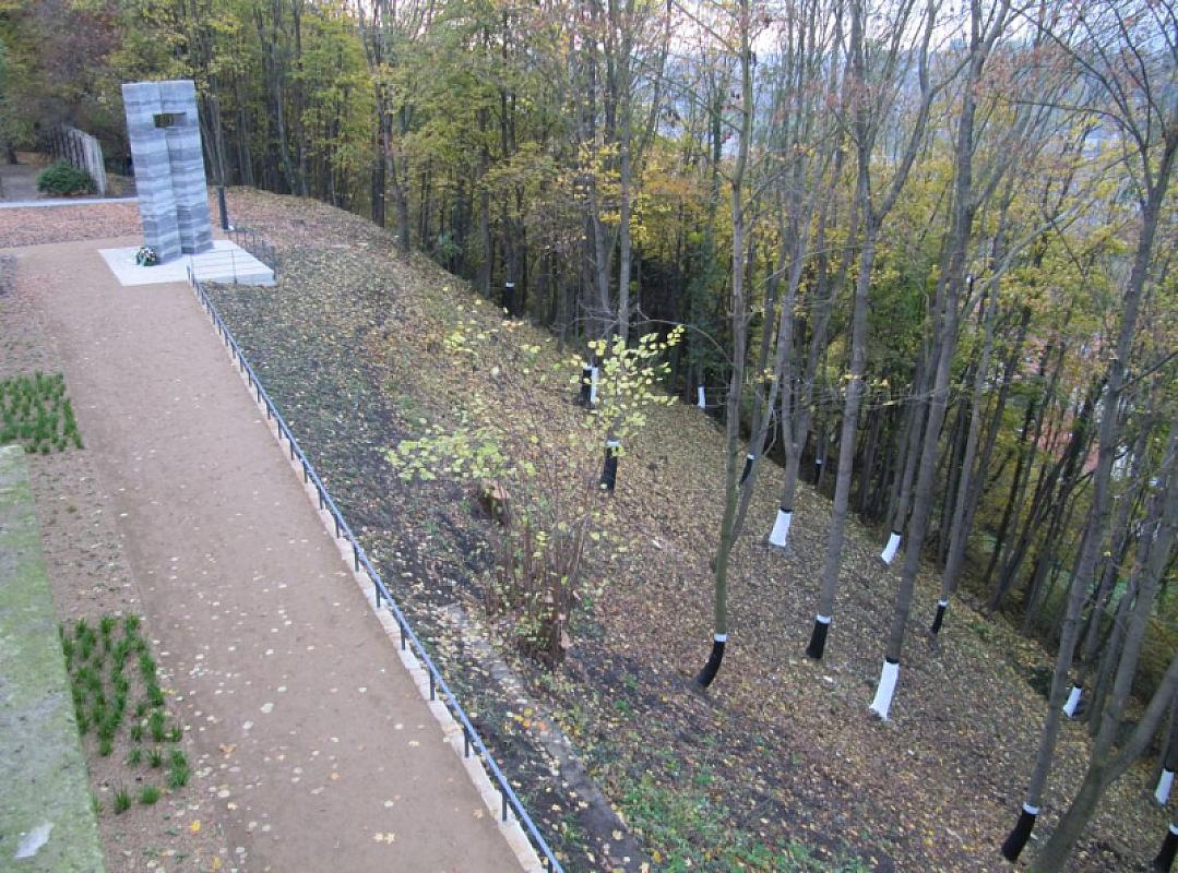 Pirna, 2011, Blick auf das Gedenkkreuz und das Gräberfeld, Gedenkstätte Pirna-Sonnenstein
