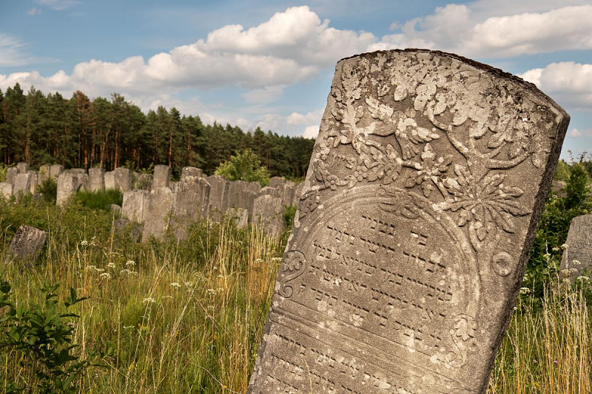 Brody, 2017, Jüdischer Friedhof, Christian Herrmann