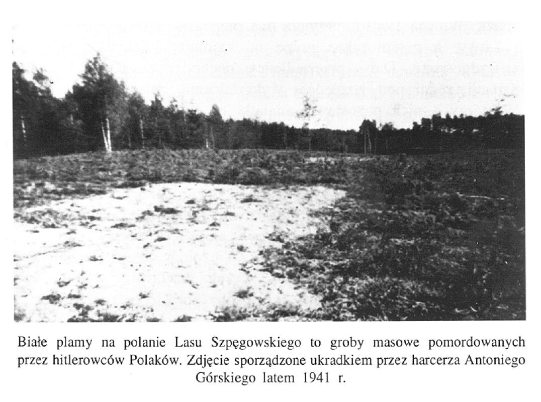 Wald von Spengawsken, 1941, Ort von Massenexekutionen, Miejska Biblioteka Publiczna im. ks. Bernarda Sychty w Starogardzie Gdańskim