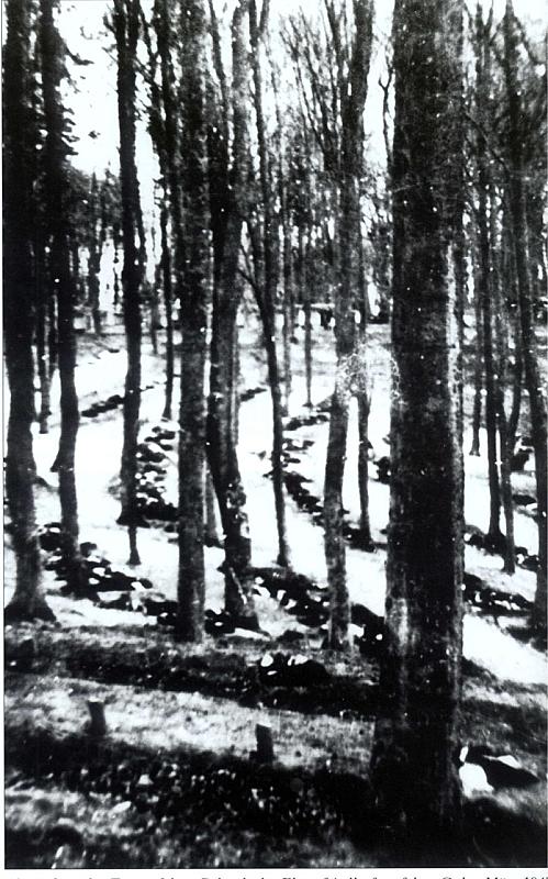 Kamminke,  März 1945, Tote des Bombenangriffs vom 12.März 1945 vor der Beisetzung in Massengräbern, Archiv Volksbund Deutsche Kriegsgräberfürsorge e.V.