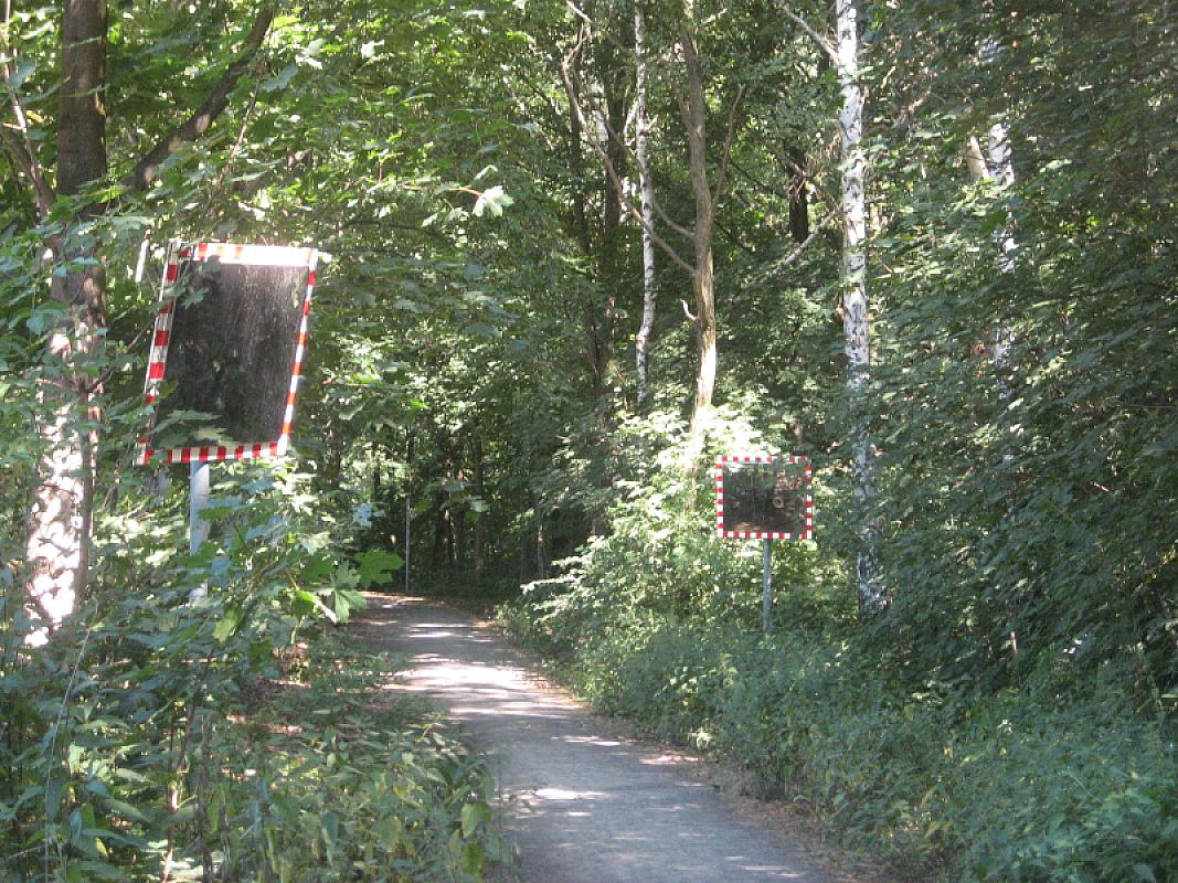 Berlin, 2010, Verkehrsspiegel am Waldweg, Stiftung Denkmal