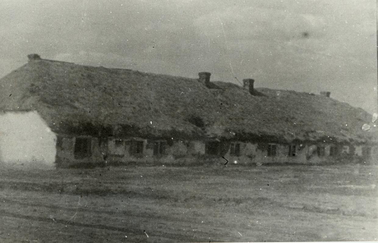 Bogdanowka, 1944, Einer der Schweineställe, in denen Juden zusammengepfercht waren, Zentralnij derzhawnij kinofotofonarchiw Ukraini im. H. S. Pshenychnoho (TsDKFFA), Kyiv-110