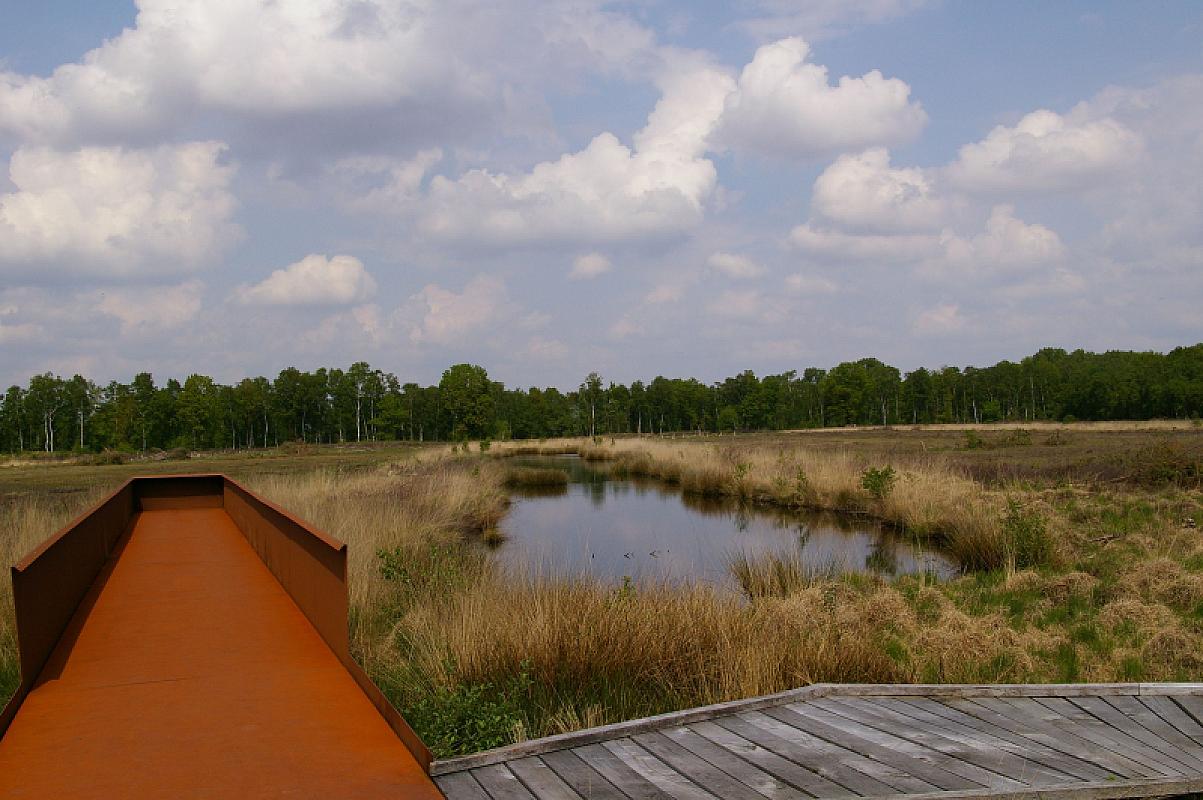 Esterwegen, 2012, Gelände der Gedenkstätte, Harry de Jong