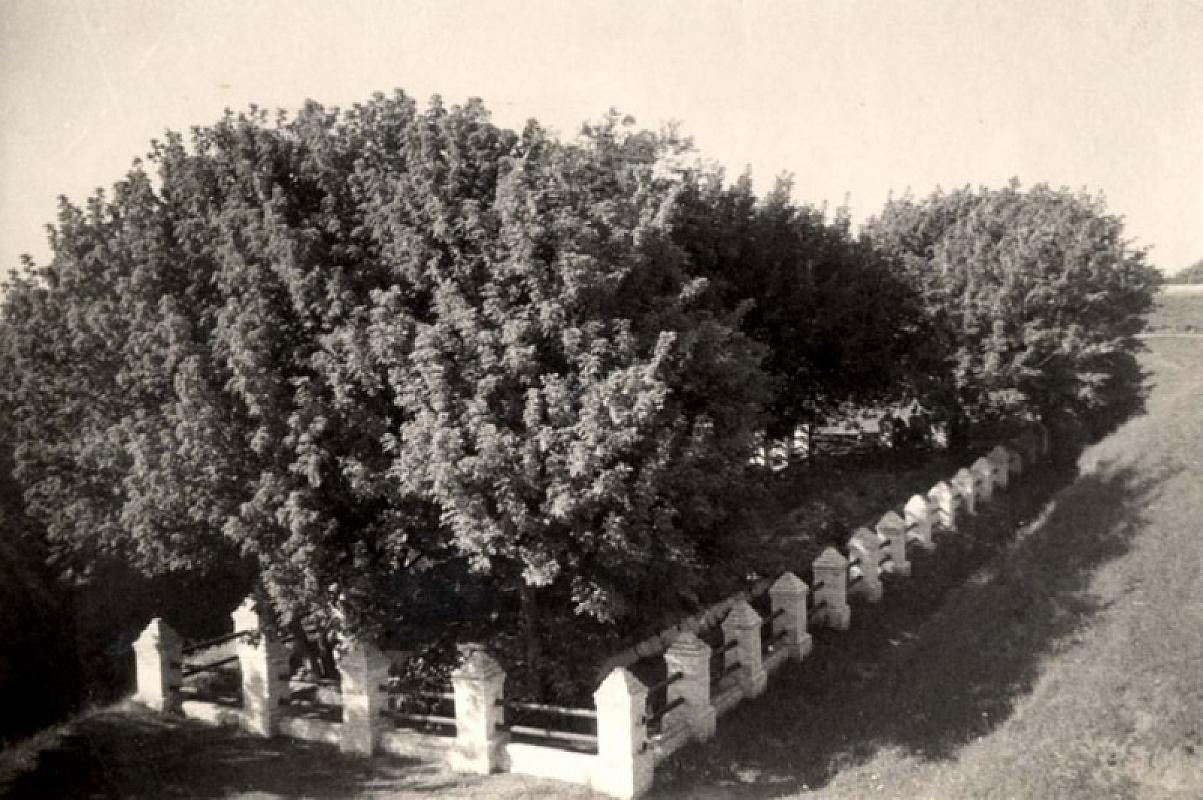 Pryluky, o.D., Historische Aufnahme der Massenerschießungsstätte »Pliskunowka«, Yad Vashem