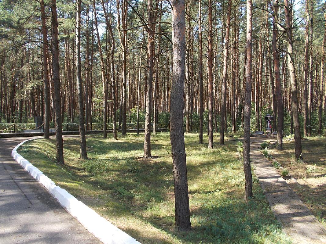 Glubokoje, 2013, Borok mit Massengräbern zu beiden Seiten, avner