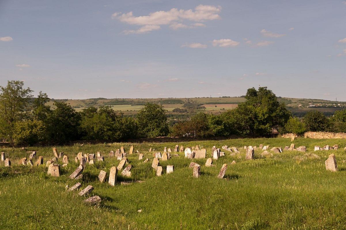 Vălcineţ, 2018, Jüdischer Friedhof, Christian Herrmann