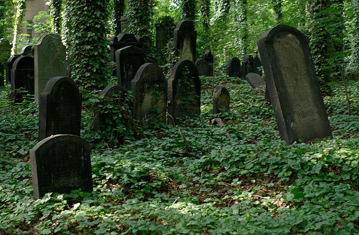 Gleiwitz, 2012, Jüdischer Friedhof, Tomasz Górny