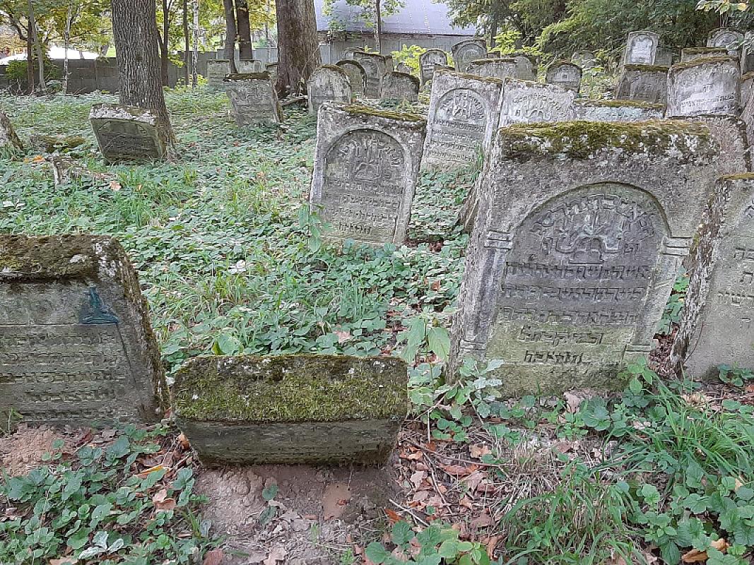 Szczebrzeszyn, 2021, Verwahrlosende Grabsteine auf dem jüdischen Friedhof, Stiftung Denkmal