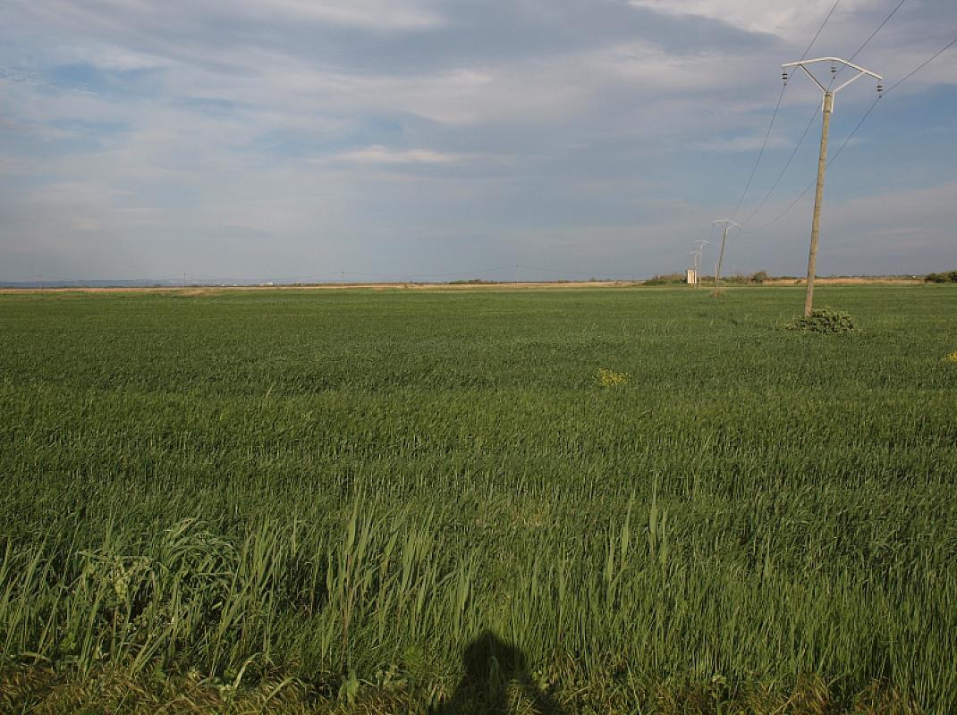 Saliers, 2024, Former location of the Saliers Camp, Thomas Klinkenberg, public domain