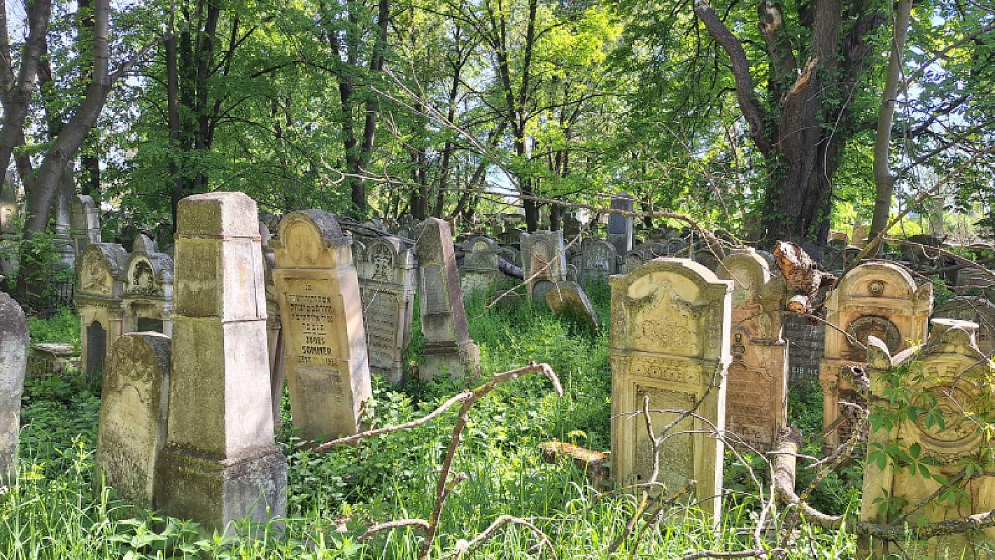 Radautz, 2026, Auf dem jüdischen Friedhof, Stiftung Denkmal