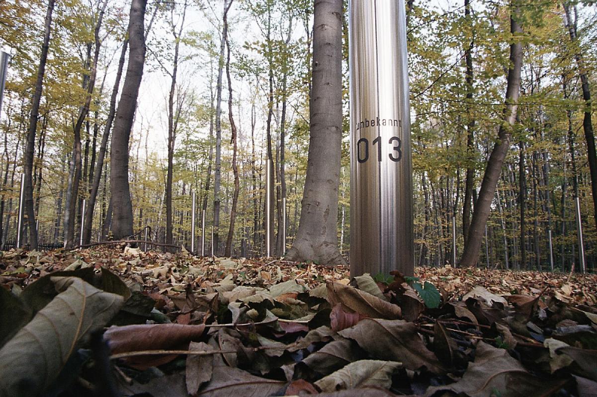 Buchenwald, 2005, Gräberfeld des Speziallagers Nr. 2, Sammlung Gedenkstätte Buchenwald, Peter Hansen