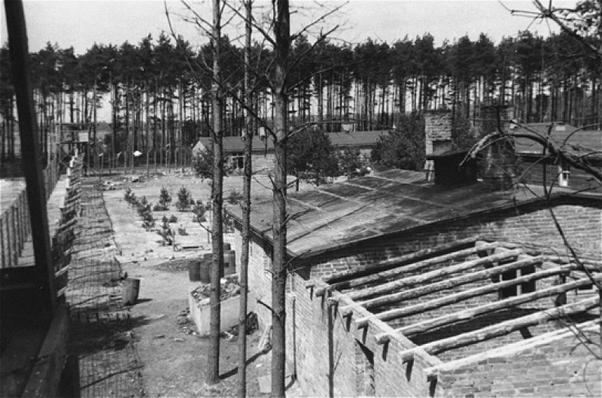 Wöbbelin, Spring 1945, The camp shortly after liberation by the US Army, USHMM